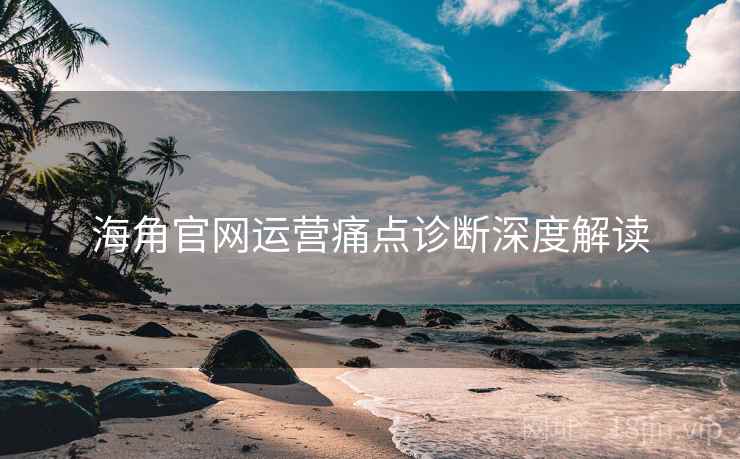 海角官网运营痛点诊断深度解读