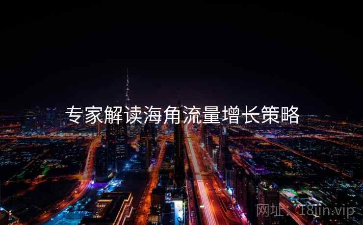 专家解读海角流量增长策略