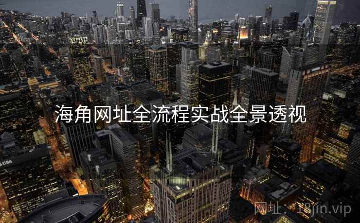 海角网址全流程实战全景透视