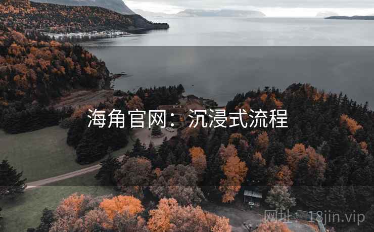 海角官网：沉浸式流程
